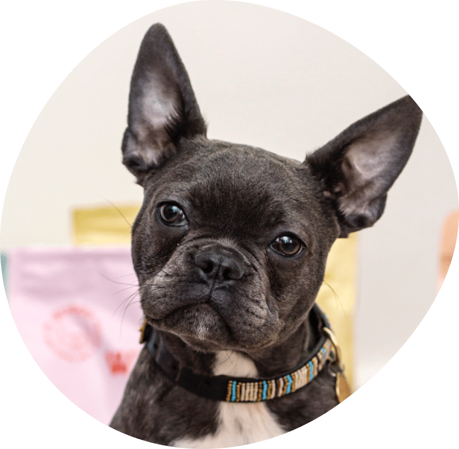 Vector (22) Vector (22)