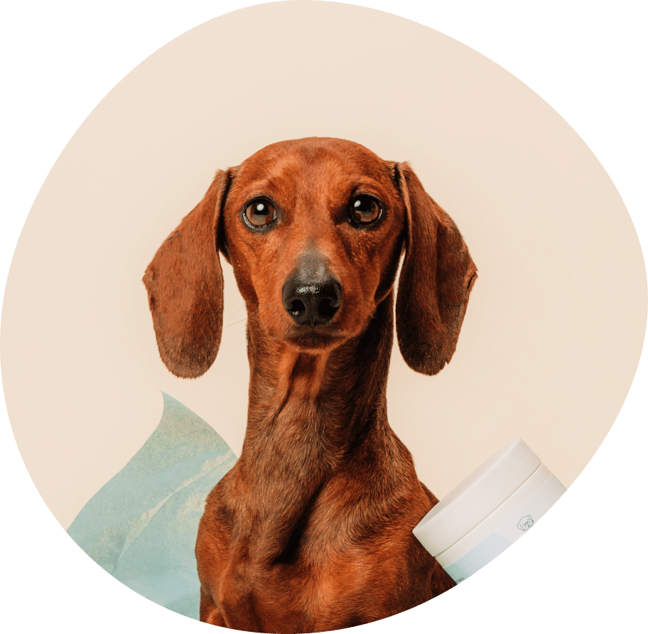 Vector (23) Vector (23)