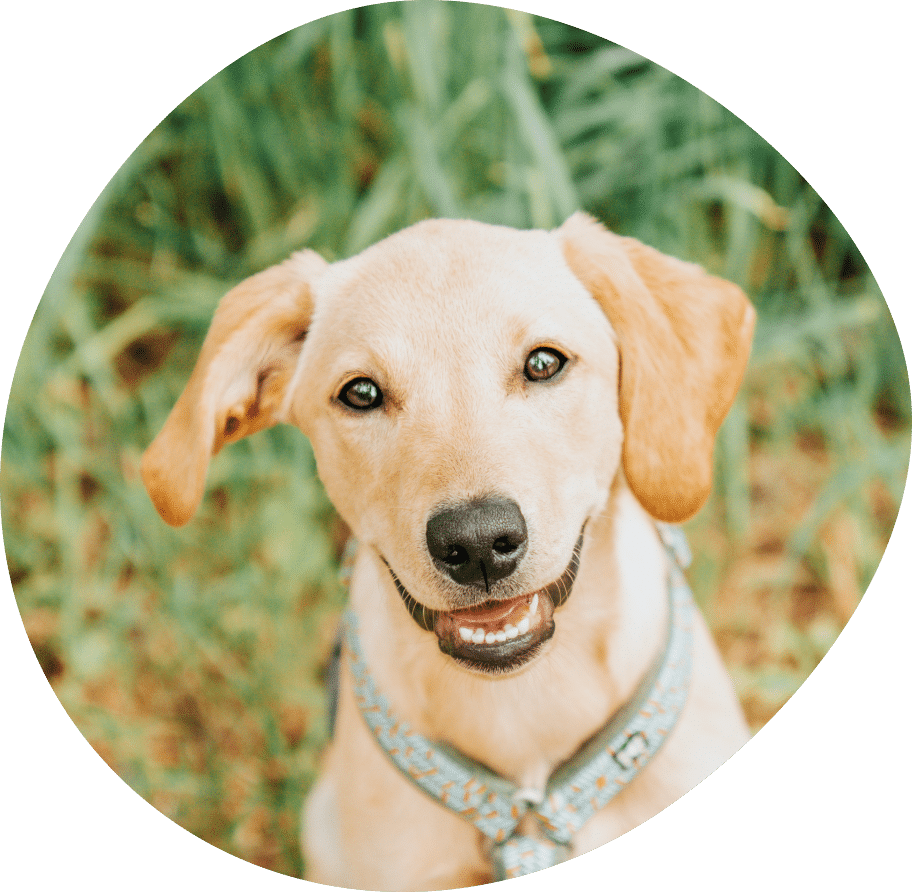 Vector (24) Vector (24)