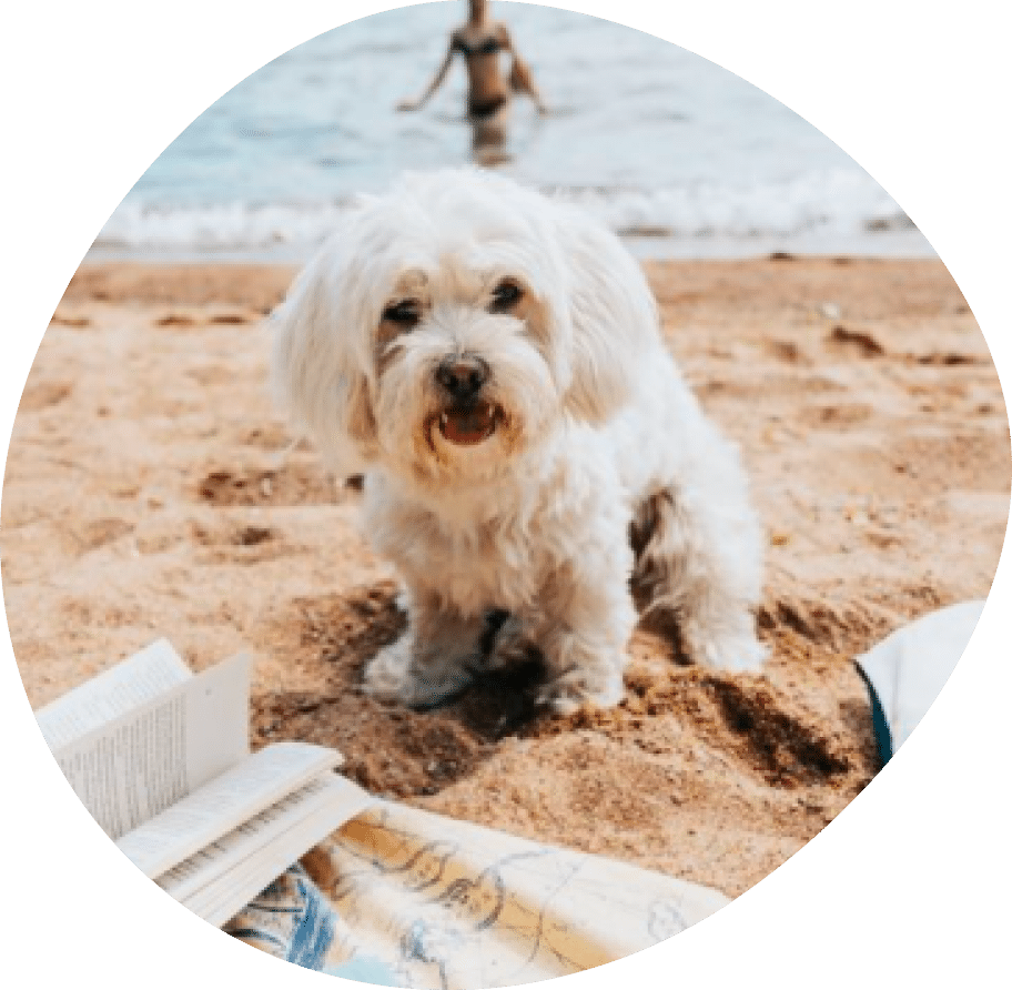 Vector (25) Vector (25)