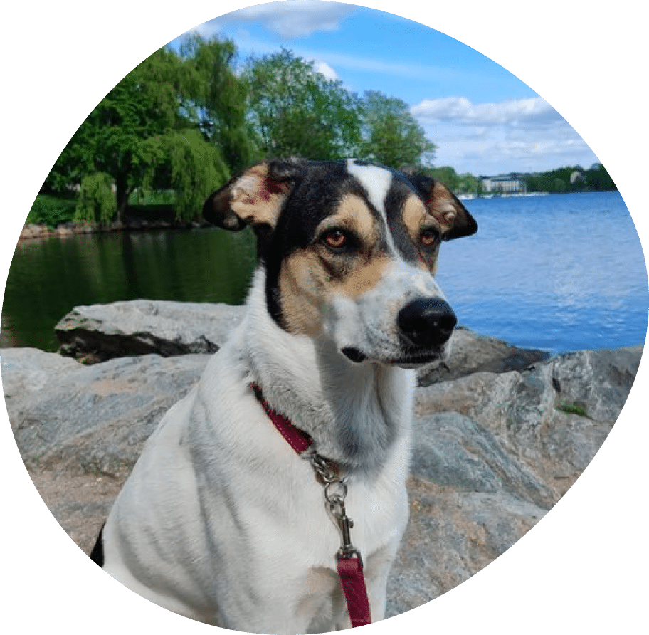 Vector (26) Vector (26)