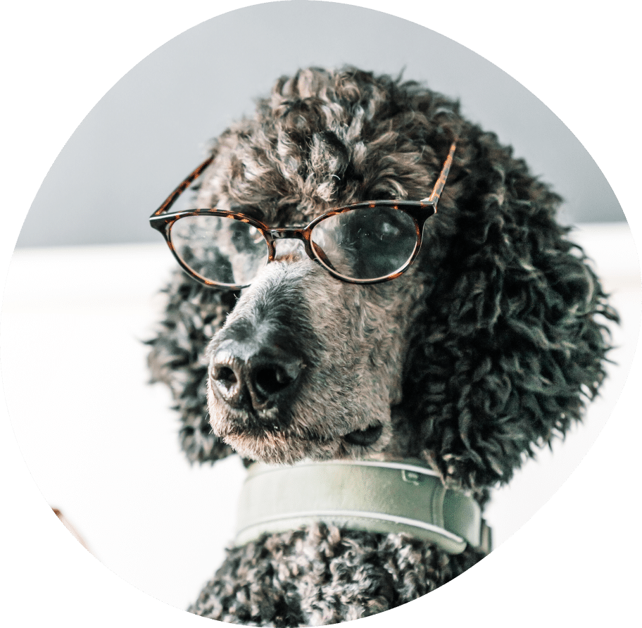 Vector (27) Vector (27)