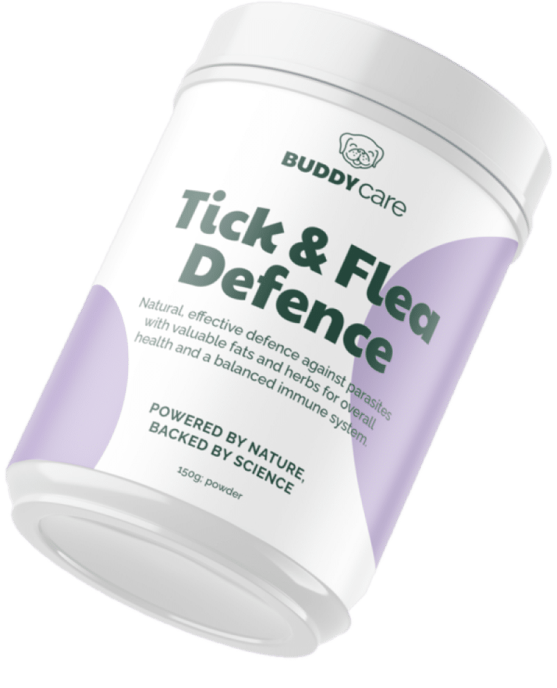 tick2 tick2